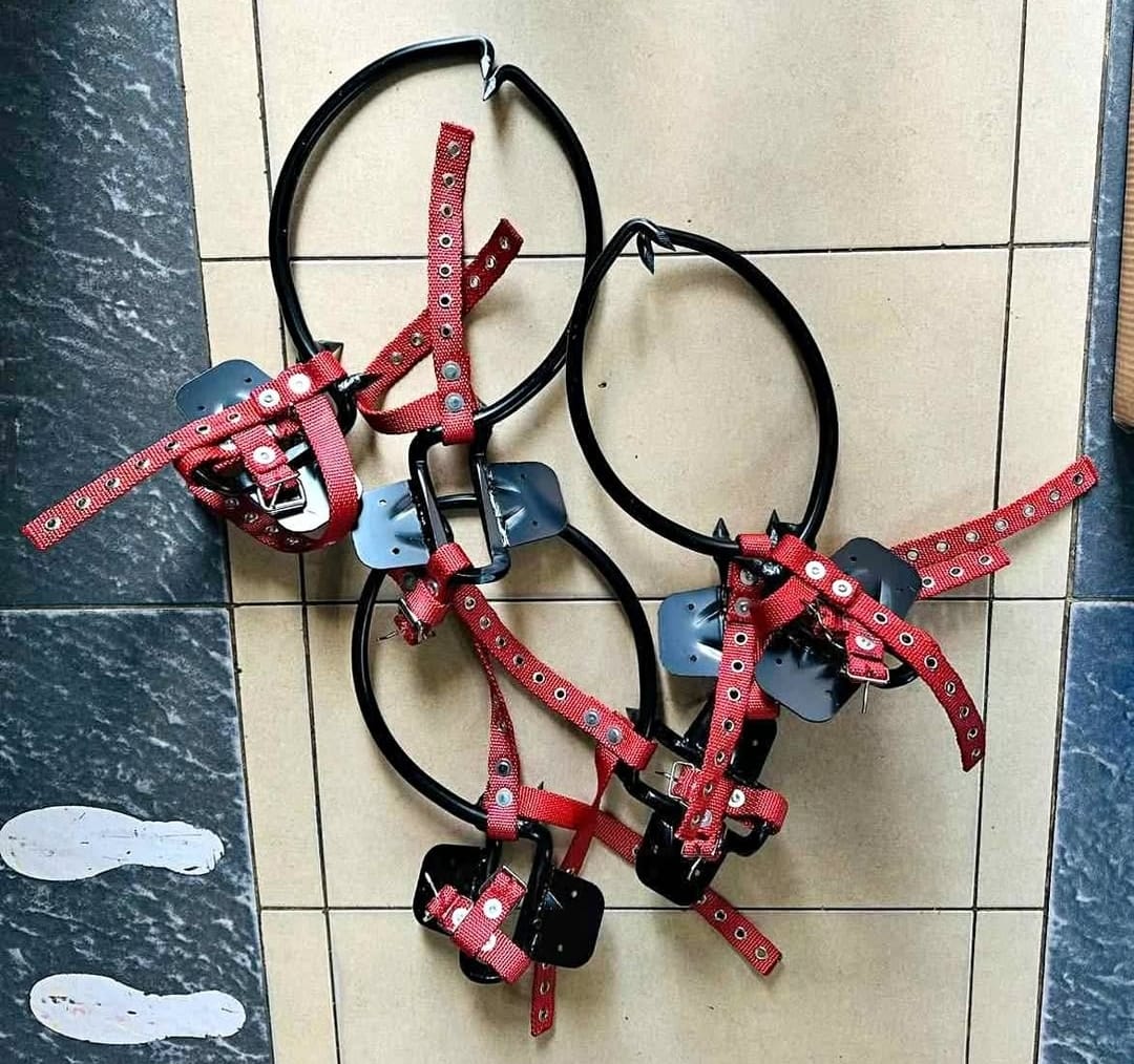 wooden climbing spikes for tree climbing supplied by Jakagwa Investments in Nairobi Kenya with nationwide delivery