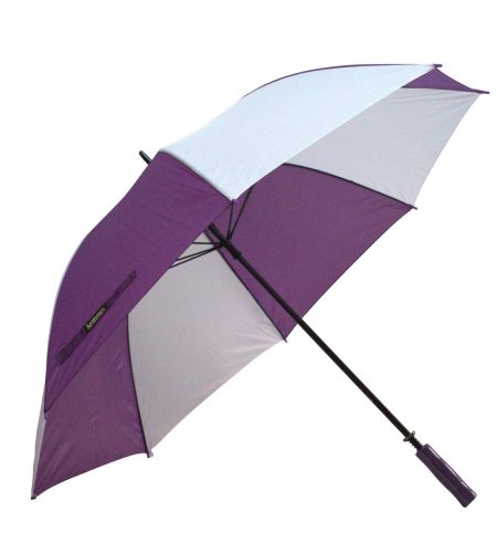 green and purple umbrella